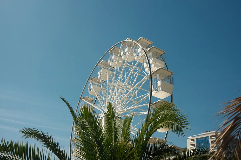 A white Ferris wheel rising above palm fronds against a blue sky